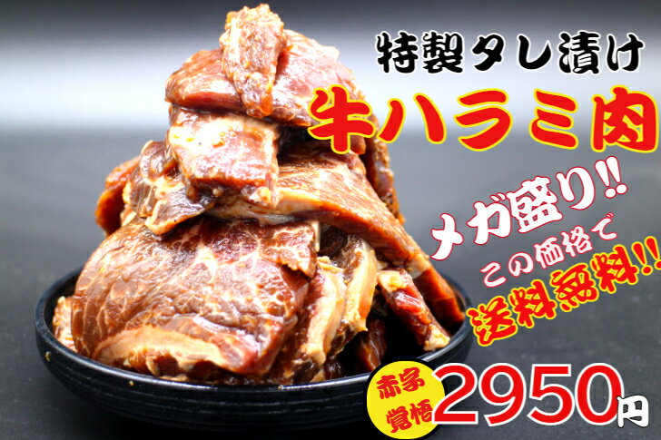 ハラミ 牛肉 揉みタレ 500g x 2P 約1キロ はらみ ハラミ 焼肉 ハラミ 柔らか 焼肉 サガリ bbq 肉 バーベキュー 冷凍 肉 焼肉 ステーキ 業務用 肉 わけあり 訳あり 肉 送料無料 牛ハラミ