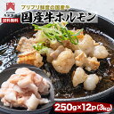 ■最大929円クーポン ホルモン 焼肉 3kg (250g × 12p) 国産 牛ホルモン 冷凍 テチャン コプチャン 牛もつ 1kg シマ 腸 ホルモン 大トロ 大腸 シマチョウ 焼肉セット 美味しい セット 業務用 もつ鍋用 焼き肉 国産牛 BBQ 牛モツ ホルモン鍋 和牛 もつ グルメ ギフト 送料無料