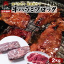 送料無料上ハラミ・サガリ400g(米国産・豪州産)