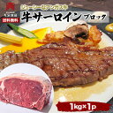■最大929円クーポン 塊肉 送料無料 サーロインステーキ 1kg ブロック 訳あり ステーキ バーベキュー BBQ