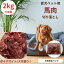 ペット用 馬肉 生肉 切り落とし ドッグフード キャットフード 大容量 ヘルシー 高タンパク 合計約 2kg 1kg × 2パック 犬用 猫用 ペット 犬 猫 冷凍 真空 新鮮 おいしい 真空パック 生馬肉