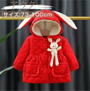 子供服 女の子 フード付 ウサギ ポケット ボタン 長袖 アウター 裏地 あたたかい / ベビー服 かわいい コート 日常 カジュアル 保育園 出産祝い 赤ちゃん 新生児 幼児 プレゼント 贈り物 春 秋 冬 73 80 90 100 cm