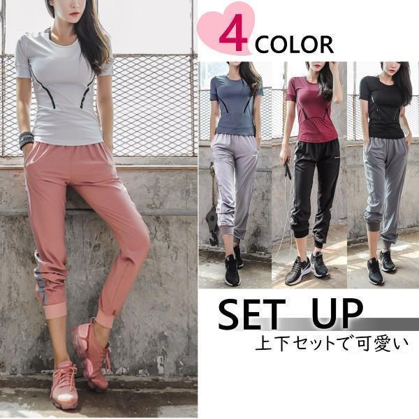 ݡĥ ȥ졼˥󥰥 襬 岼 åȥå ǥ  㡼 襤 岼å 롼० ѥ ѥ T...