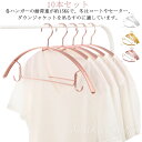 すべらないハンガー ハンガー すべらない 収納 アーチハンガー おしゃれ ゴールド ピンク ローズ 10本セット 滑らない 肩 持ち運び 滑り止め 型崩れしない 跡がつかない 洗濯ハンガー 衣類ハンガー 変形にくい 物干しハンガー 金属 曲がらない PVC