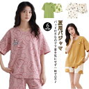 パジャマ 夏パジャマ カップ付き 半袖 夏用パジャマ 夏 上下セット 大人用 春 レディース ギフト かわいい 可愛いパジャマ 入院 半袖パジャマ 部屋着 丸首...