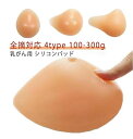 パット 下着 術後ブラ シリコンブラ 全摘 左右 200g 大きいサイズ 乳がん 乳がん シリコンパッド 小さいサイズ 人工乳房 乳癌 後 パット 術 後 下着...