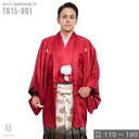往復送料弊社負担 【レンタル】【対応身長170cm-180cm】男性用レンタル紋付き袴フルセット 紋付きフルセット 紋付袴レンタル 羽織紐 袴 はかま 男性着物...