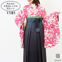 【レンタル】-卒業式 袴 レンタル 女 フルセット 女性 袴セット【対応身長157cm〜165cm】【キュート】 卒業式レンタル袴フルセット-1181 マルチカ...