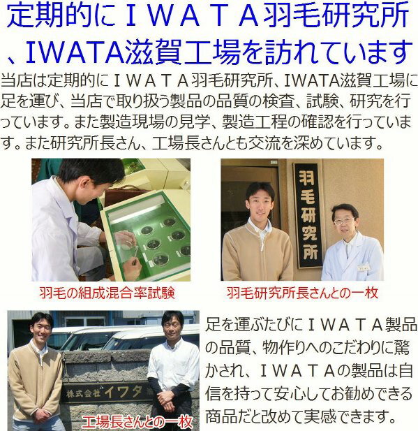 IWATAヌードピロー高さ　3cm【普通の高さ】サイズ　L【50×70cm】イワタの枕　IWATAまくら　イワタマクラ　ヌード枕　羽根枕　羽毛枕　ダウンピロー　フェザーピロー　ホテル仕様枕