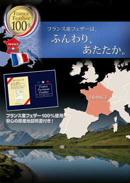 クイーンサイズ　羽根布団8点セット　必要なものが全て揃う！上質なフランス産フェザーを使用した8点セット。 掛け布団・敷きパッド・枕・カバー・収納ケースが揃ったベッドタイプ8点セット。安心な保証付きの布団セットです！7年間品質保証、国際基準規格