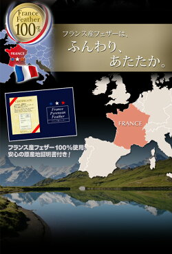 クイーンサイズ210×210cmフランス産フェザー羽根布団フランス・ピレネー産フェザーを100%使用した上質な羽根ふとん。かさ高たっぷり!ふんわりふかふかで保温性抜群!羽根掛け布団羽毛布団羽毛ふとん羽毛フトン