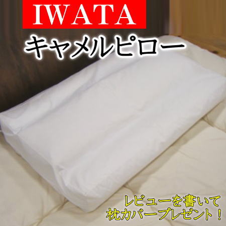楽天市場】枕(ブランド(インテリア)イワタ)の通販 楽天市場】枕(ブランド(インテリア)イワタ)の通販