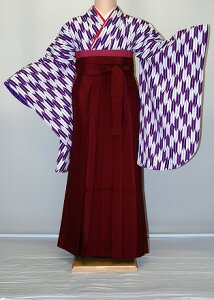 【レンタル】小振袖・2尺袖レンタル【RG06】振袖/袴フルセット/大学生/小学生/高校生/中学生/春冬キャンペーンネット通販