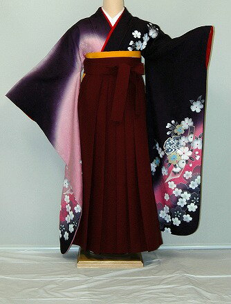 【レンタル】振袖、袴(はかま)レンタル【青・青紫・緑系】【HF768】標準/L寸/7号/9号/11号/13号 冬春キャンペーン