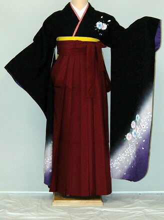 【レンタル】振袖、袴(はかま)レンタル【黒・茶・グレー系】【HF758】標準/L寸/7号/9号/11号/13号/冬春キャンペーン 【レンタル】振袖、袴(はかま)レンタル【黒・茶・グレー系】【HF758】標準/L寸/7号/9号/11号/13号/冬春キャンペーン