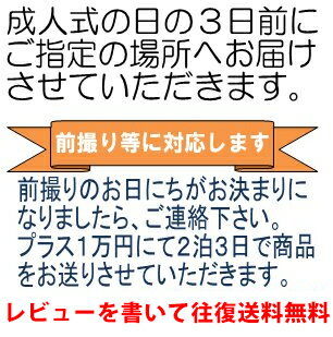 【レンタル】振袖レンタル【黒・茶・グレー系】【RS738】標準/L寸/7号/9号/11号/13号 冬春キャンペーン