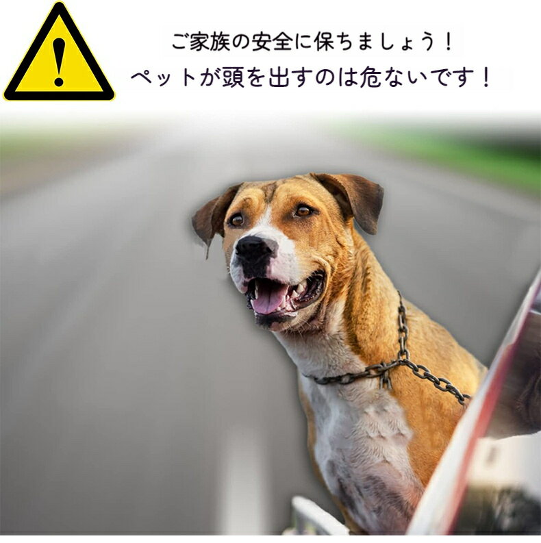 �ڥå� �����ȥ٥�� �� �����ȥ٥�� �����ѥ꡼�� �Хå����դ� �ɥ饤�� 2way �����٥�� �ڥå� ǭ ���� �����ʼ� ���� ��ñ����