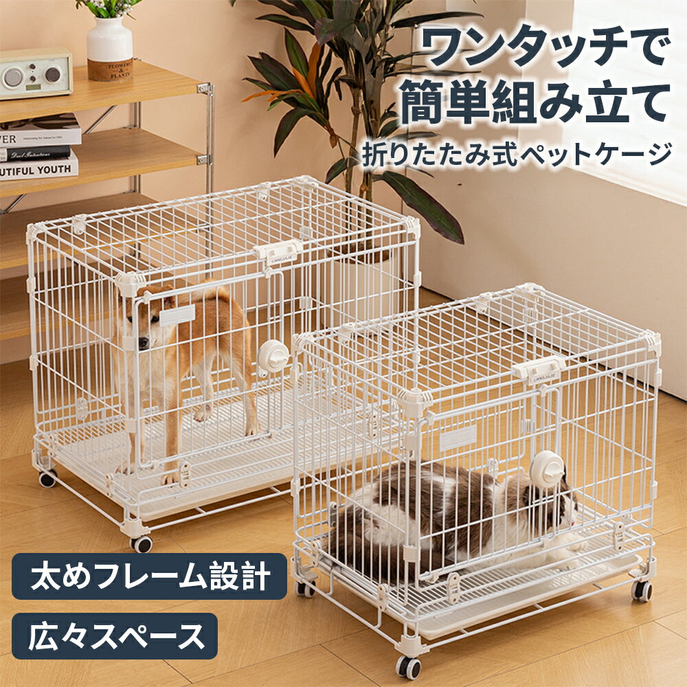 �ڥåȥ����� �ޤꤿ���߼� ���㥹�����դ� �� ǭ ��ñ��Ω ���ե졼�� ������ ������ ������ �淿���б� 2������