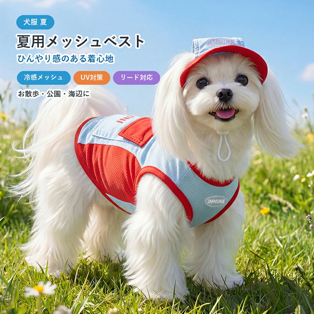 商品情報 検索キーワード 犬服 夏服 / 犬 クールベスト / 犬 冷感ウェア / 犬 メッシュ ベスト / 犬 帽子付き / 小型犬 服 / ドッグウェア 夏 / ペット服 夏 / ハーネスウェア 犬 / Dカン付き 犬服 / リード対応 犬服 / 日差し対策 犬 / 紫外線対策 犬 / お散歩ウェア / 海辺 公園 犬服 / チワワ 服 / トイプードル 服 / マルチーズ 服 / ビションフリーゼ 服 サイズ案内 素材について 冷感メッシュ生地を使用。通気性がよく、暑い季節のお散歩やお出かけにおすすめです。 ただし、画像上は「メッシュ素材」までは确认できますが，具体是ポリエステル、ナイロン还是复合冷感纤维，必须以供应商实际材质为准，不能乱写。 サイズについて ご購入前に、必ず 背丈・胴回り・首回り を測ってお選びください。毛量が多いワンちゃん、ゆったり着せたい場合は、ワンサイズ上がおすすめです。 リード使用について 背中のDカンは日常のお散歩に便利ですが、強く引っ張るワンちゃんには通常のハーネスとの併用をおすすめします。 商品特徴 帽子付きで、夏のお散歩もかわいく日差し対策 背中まわりだけでなく、帽子付きで顔まわりの日差しもやさしくカバー。公園・海辺・旅行など、夏のお出かけにぴったりです。 冷感メッシュ素材で、さらっと軽い着心地 通気性のよいメッシュ生地を使用。ムレにくく、暑い季節でも軽やかに着られる夏用ウェアです。 Dカン付きで、そのままリード装着OK 背中のDカンにリードを付けられるので、ハーネスを重ね着しにくい夏場にも便利。見た目のかわいさと使いやすさを両立しました。商品情報 検索キーワード 犬服 夏服 / 犬 クールベスト / 犬 冷感ウェア / 犬 メッシュ ベスト / 犬 帽子付き / 小型犬 服 / ドッグウェア 夏 / ペット服 夏 / ハーネスウェア 犬 / Dカン付き 犬服 / リード対応 犬服 / 日差し対策 犬 / 紫外線対策 犬 / お散歩ウェア / 海辺 公園 犬服 / チワワ 服 / トイプードル 服 / マルチーズ 服 / ビションフリーゼ 服 サイズ案内 素材について 冷感メッシュ生地を使用。通気性がよく、暑い季節のお散歩やお出かけにおすすめです。 ただし、画像上は「メッシュ素材」までは确认できますが，具体是ポリエステル、ナイロン还是复合冷感纤维，必须以供应商实际材质为准，不能乱写。 サイズについて ご購入前に、必ず 背丈・胴回り・首回り を測ってお選びください。毛量が多いワンちゃん、ゆったり着せたい場合は、ワンサイズ上がおすすめです。 リード使用について 背中のDカンは日常のお散歩に便利ですが、強く引っ張るワンちゃんには通常のハーネスとの併用をおすすめします。 商品特徴 帽子付きで、夏のお散歩もかわいく日差し対策 背中まわりだけでなく、帽子付きで顔まわりの日差しもやさしくカバー。公園・海辺・旅行など、夏のお出かけにぴったりです。 冷感メッシュ素材で、さらっと軽い着心地 通気性のよいメッシュ生地を使用。ムレにくく、暑い季節でも軽やかに着られる夏用ウェアです。 Dカン付きで、そのままリード装着OK 背中のDカンにリードを付けられるので、ハーネスを重ね着しにくい夏場にも便利。見た目のかわいさと使いやすさを両立しました。