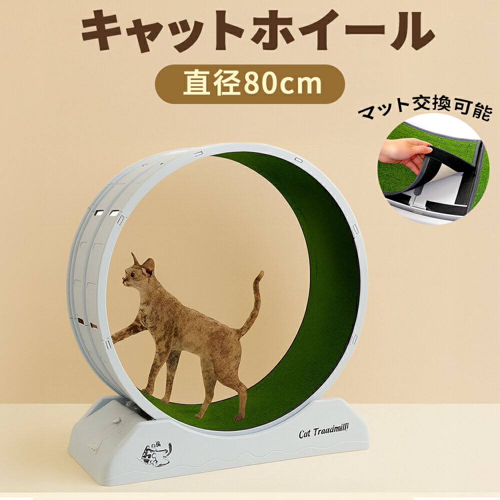 キャットホイール 大型 直径80cm 幅広 静音仕様 猫用ランニングホイール 自宅運動 室内エクササイズ ストレス解消 大型猫対応 組立簡単