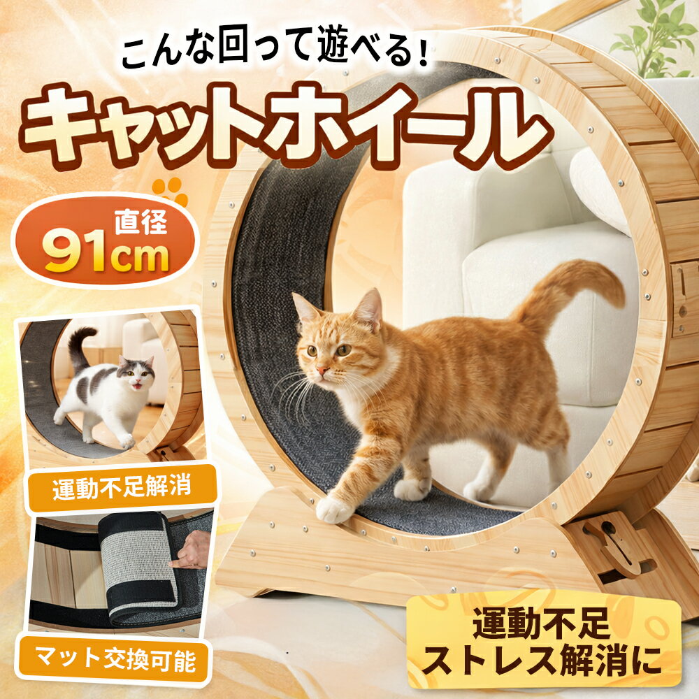 楽天市場】キャットホイール 大きいの通販