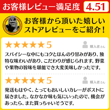 ゴーゴーカレー 中辛3食 辛口3食 6食 セット レトルトカレー レトルト 防災 非常食 カレー 食品 詰め合わせ レトルト食品 高級