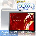 タブレット 本体 10インチ ALPHA LING Proシ