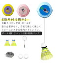 一人で練習 バドミントン練習 シングル トレーニング 練習器具 室内 ボール3個+ラケット1個+収納バッグ 子供用 取り付け簡単 バドミントントレーナー 3個セ...