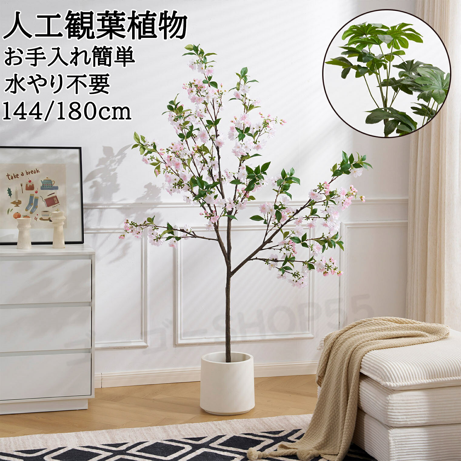 商品画像1
