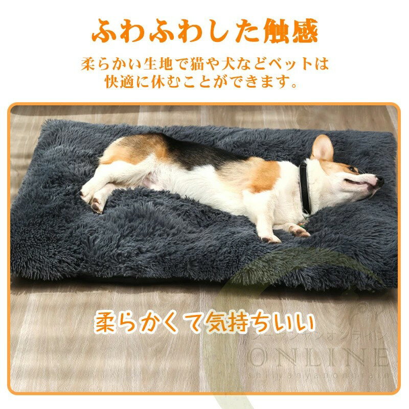 SHOP55㤨֥ڥåѥۥåȥڥå ȯǮ ݲѥå Ÿ ڥå ڥå ޥå ǭ ޥå ڥåѥҡ ˼ڥåȥѥå βǮ ڥå ߤ դդ ɴɿ  ǭ 澮  ѥҡ  緿 淿 ưʪбפβǤʤ1,850ߤˤʤޤ