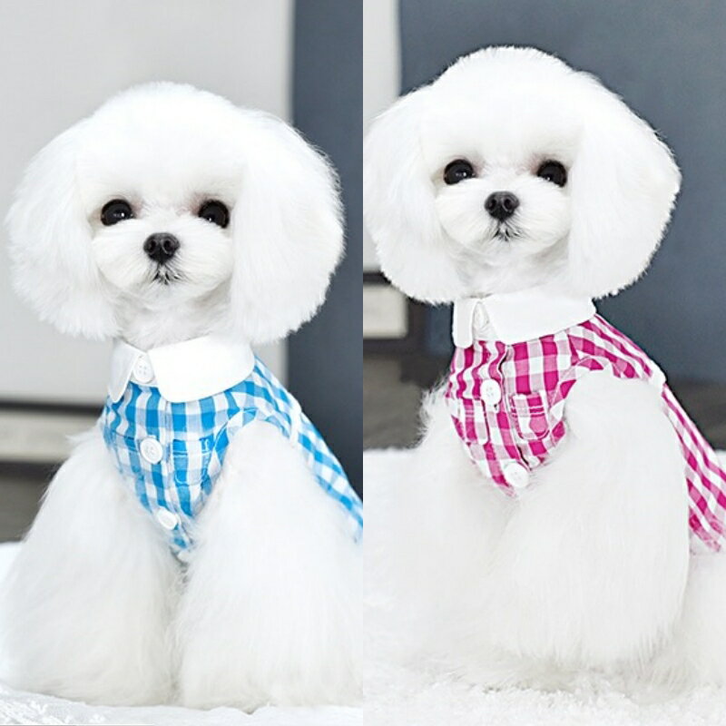 乐天商城 - 犬服 春夏 【日本初上陸】PEEKAPOODLE ギンガムチェック 犬シャツ 犬の服 ドッグウェア ペットウェア 格子柄 お出掛け お揃い おしゃれな犬のお洋服 小型犬 中型犬