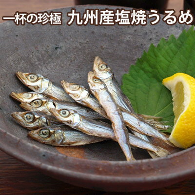 一杯の珍極）九州産塩焼うるめ[KOBE伍魚福]