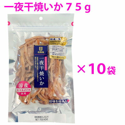 イカ 一夜干し 一夜干焼いか75g×10袋セット 【送料無料】 【のし・ラッピング・小分け袋対応不可】 KOB..