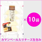 カマンベールチーズ 生包み おつまみ チーズ カマンベール入りチーズ生包み10袋セット【おつまみ専門 神戸伍魚福 おつまみ チーズ おつまみ ワイン ワイン おつまみ】【簡易包装・ラッピング・個袋同送不可】 珍味 おつまみ 極める