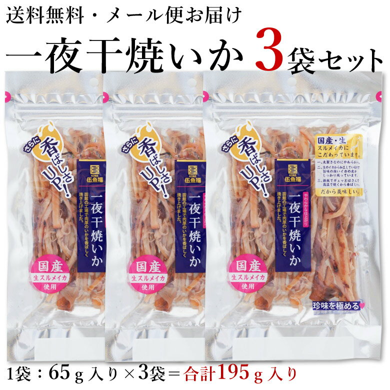 イカ 一夜干し おつまみ 【 一夜干焼いか3袋セット（合計195g） 】メール便【送料無料 同梱・ギフト包装・代引支払不可】