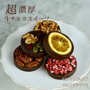 Ludeek 進化系ガナッシュサンド ショコラアシェット 5個(4)
