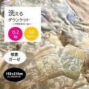 【送料無料】洗える 羽毛肌掛けふとん 襟裏ダブルガーゼ アネモネペール ダウンケット シングル ダウン50% 0.2kg 夏掛け ウォッシャブル 清潔 夏用 夏...