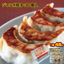 【餃子専門店宇都宮 悟空】ジャンボ餃子36個セット 冷凍餃子 冷凍生餃子 生餃子 冷凍食品 焼き餃子 ジャンボ 肉餃子 惣菜 中華惣菜 中華 グルメ ギフト お取り寄せ 名店 ご当地 国産 にんにく ニンニク ビール 餃子 パーティー ぎょうざ ギョーザ おいしい おつまみ 行列