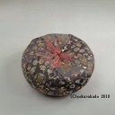 飛鳥丸布団 8号(紫系色)(木魚・木柾・磬子用)