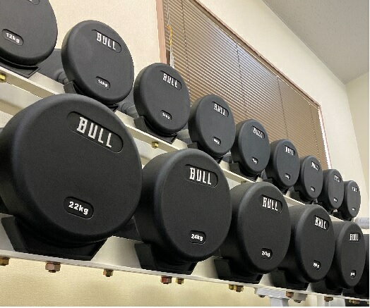 BULL TPUダンベル 12～30kg 重量固定式 2個1組 静音 ゴム臭くない ジム仕様 2