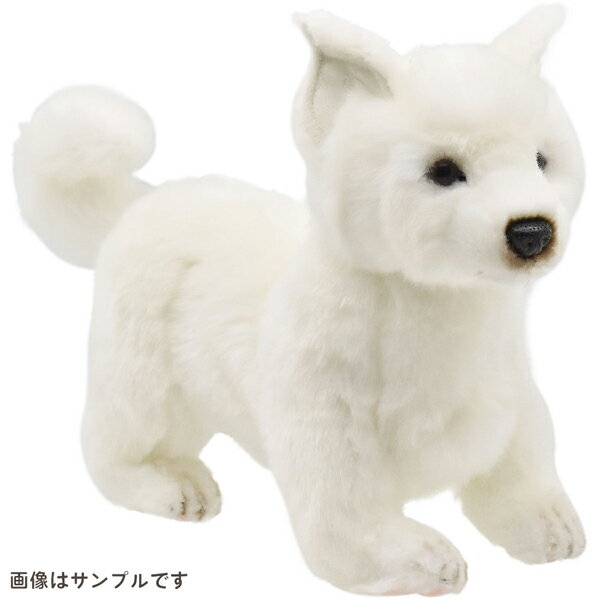 HANSA nT wbhJo[ kC HOKKAIDO INU s^ p^[p BH8348 p^[Jo[ PTp ʂ LN^[ DOG Aj} 