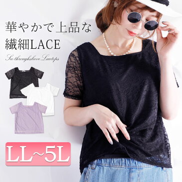 デコルテを綺麗に魅せるネックライン、 スクエアネック総レーストップス 大きいサイズ レディース カットソー ショート丈 半袖 レース 無地 スクエアネック 透け感 春夏 春 夏 LL 2L 3L 4L 5L XL XXL LLサイズ 13号 15号 17号 19号 ブラック 黒 オフホワイト ラベンダー