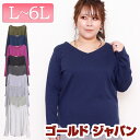LL 2L 3L 4L チュニック 大きいサイズ レディース チュニック Vネックチュニック コットンチュニック 長袖チュニック 綿 ドルマン 無地 ブラック ...