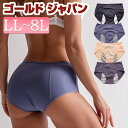 マタニティ ノンマタニティ 大きいサイズ レディース ママ マタニティウェア 妊婦 下着 ショーツ ぱんつ メッシュ LL 2L 3L 4L 5L 6L 7L ...