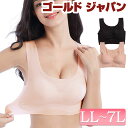 LL 2L 3L 4L 5L 6L 7L LLサイズ 2Lサイズ 3Lサイズ 4Lサイズ 5Lサイズ 6Lサイズ 7Lサイズ 下着 大きいサイズ レディース ブ...