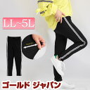 大きいサイズ レディース ボトムス パンツ サイドライン入りレギンスパンツ レギンスパンツ レギパン ロングパンツ スキニーパンツ ストレッチ ウエストゴム スキニー ロング サイドライン 韓国 ルーム 秋新作 秋服 春服 冬服 LL 2L 3L 4L 5L ブラック 黒 ゴールドジャパン