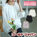 大きいサイズ レディース トップス ブラウス シャツ ゴールドパーツ付きラッフルブラウス 長袖 ラッフル フリル ビッグカラー ゴールドパーツ ジョーゼット ス...