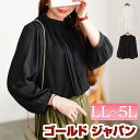大きいサイズ レディース トップス シャツ ブラウス レース&ピンタックフリルネックブラウス ピンタックブラウス 長袖 ピンタック フリルネック レース パワシ...