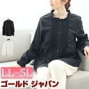大きいサイズ レディース トップス ブラウス フリルネックプリーツブラウス フリルネック ボタン キャンディー袖 長袖 前後差丈 プリーツ 無地 オフィス 卒業...