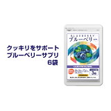 ブルーベリー（約6ヵ月分） ルテイン ビタミンB12.B1.B6配合。(90粒入/1袋×6袋 約6ヵ月分) 新聞 読書がお好きな方に。パソコンやスマホの使用が多い方。